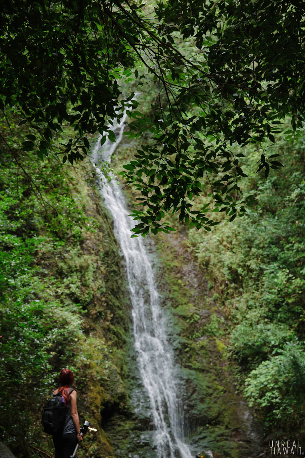 Rainforest Sex Big Nipples Fucking